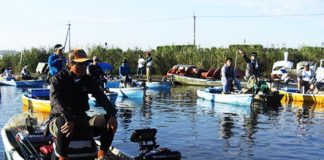 セブンパームス ノリーズ ハードベイト大会in伊庭内湖 2017 写真