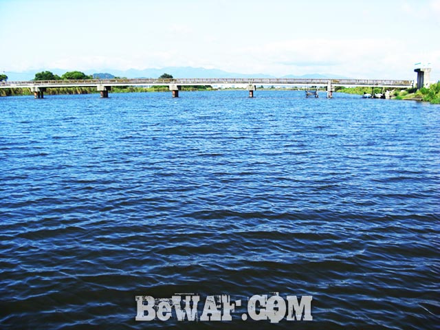 伊庭内湖 滋賀県 ハードベイト釣り方 写真