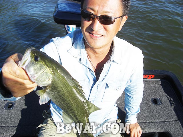 琵琶湖 アスカ60SR ガイド釣果写真