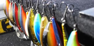 伊庭内湖 ハードベイト 大会 セブンパームス 写真