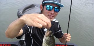 琵琶湖ガイド日記 格安 ブログ写真