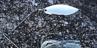 瀬田川スピナーベイト釣果 2017 写真