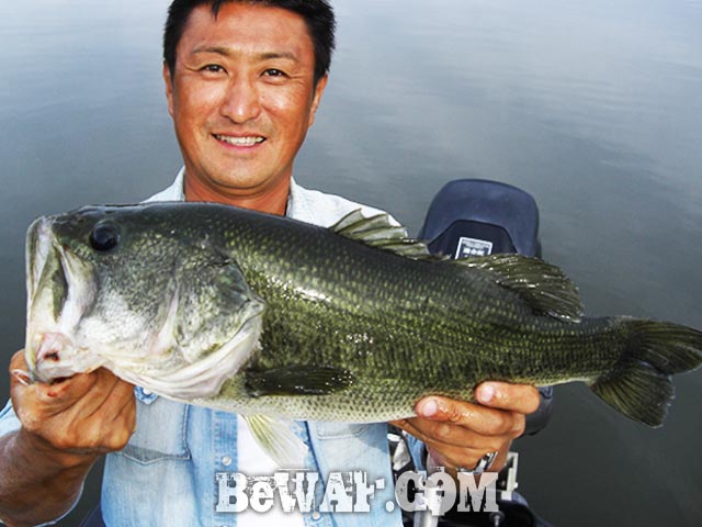 琵琶湖 スピナーベイト ロクマル釣果写真