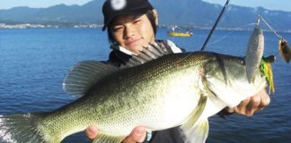 琵琶湖ビックスピナーベイト釣果写真