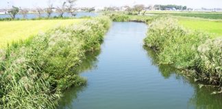 琵琶湖 内湖 おかっぱり 写真