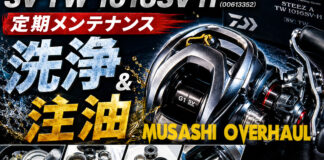 ダイワ 16 スティーズ SV TW 1016SV-H (00613352) 定期メンテナンス修理写真