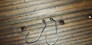 瀬田川ジグ 釣果 写真