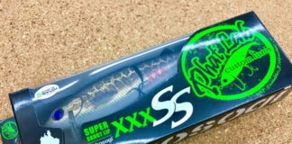 ネコソギXXX SS 入荷写真