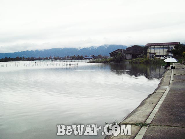 琵琶湖 平湖 おかっぱりへ 釣果 写真