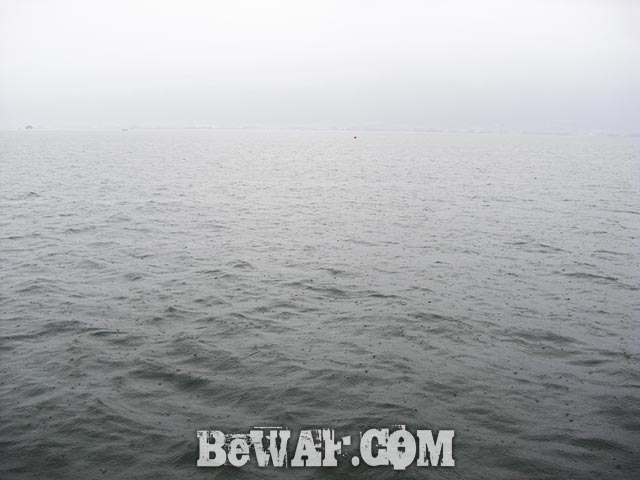 秋雨前線 スピナーベイト 攻略 琵琶湖ガイド日記 写真