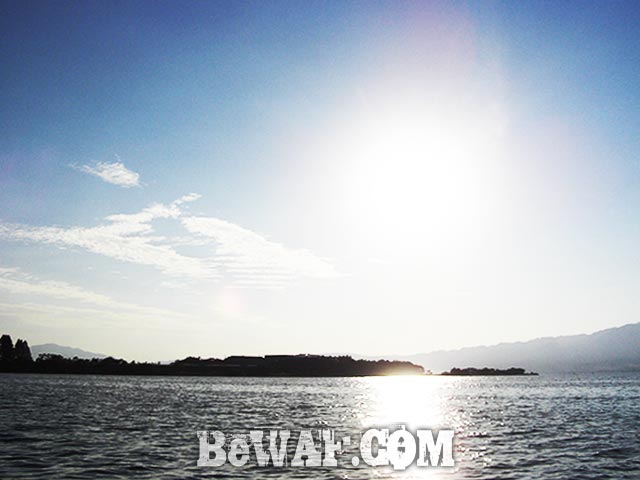 琵琶湖 秋の釣り ガイドブログ 写真