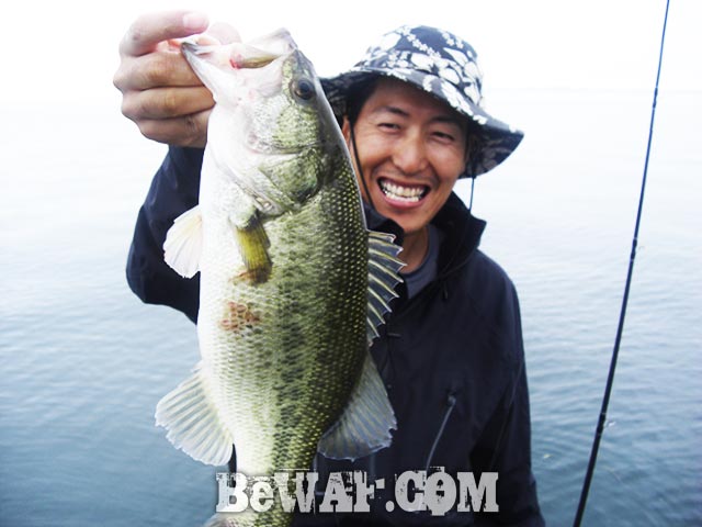 琵琶湖 北湖 ボート ゲーリーヤマモト 釣果 写真