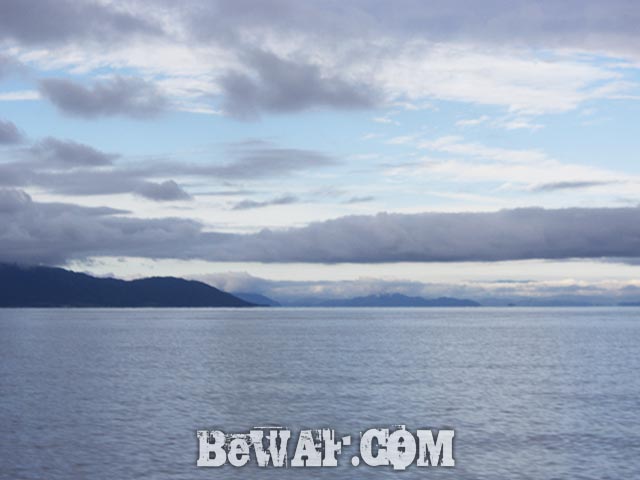 琵琶湖 北湖 ネコファト 釣果 ブログ 写真