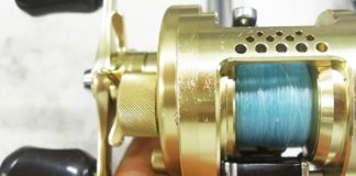 シマノ カルカッタコンクエスト 101 分解写真