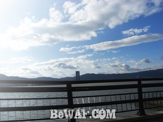 琵琶湖 赤野井 増水 おかっぱり写真
