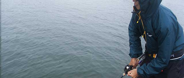 琵琶湖 秋の釣り ZBC社 ワーム釣果写真