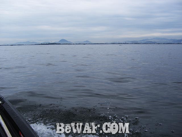 琵琶湖 秋の巻物 釣果 写真