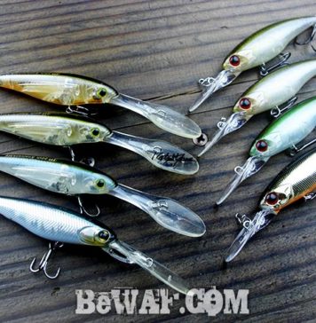 秋のシャッドルアー紹介 写真