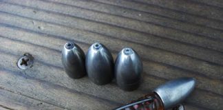 台風２１号 通過後の琵琶湖 状況 写真