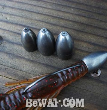 台風２１号 通過後の琵琶湖 状況 写真