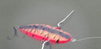 琵琶湖 平湖 おかっぱりへ 釣果 写真