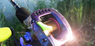 琵琶湖 ブラックバス リールカスタム 釣果 写真