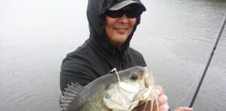 琵琶湖 秋のスピナーベイト 釣果 写真