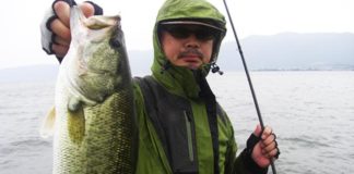 琵琶湖 秋のガイド 日記 北湖 ポイント紹介 ブログ 写真