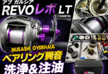 メンテナンス日記#504:アブ ガルシア REVO レボ LT (1260876) 洗浄&注油 アブ ガルシア REVO レボ LT (1260876) メンテナンス修理写真