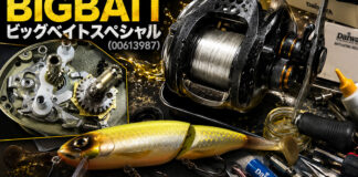 ダイワ TD-Z BIGBAIT ビックベイトスペシャル (00613987) メンテナンス洗浄＆注油 修理写真