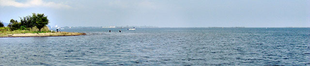 琵琶湖 秋の釣り ハードベイト釣果 写真