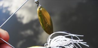 琵琶湖 赤野井 増水 おかっぱり写真