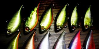 瀬田川 琵琶湖 釣果情報 詳細 写真