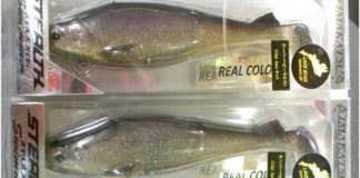 イマカツ ステルススイマー入荷写真