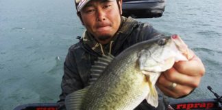 琵琶湖 秋のディープクランク 写真