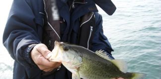 ビワコオープン 2018 第4戦 ガイド日記釣果 写真