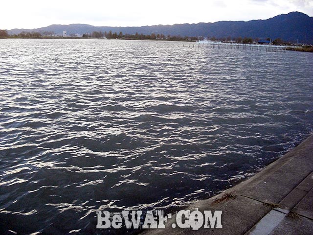 琵琶湖おかっぱり 釣果 写真