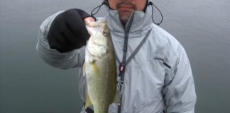 サンラインカップ 吉野川 2017 写真