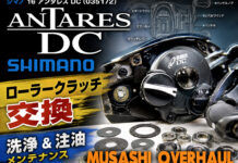 シマノ 16 アンタレス DC (035172) ローラークラッチ交換 洗浄＆注油メンテナンス修理写真