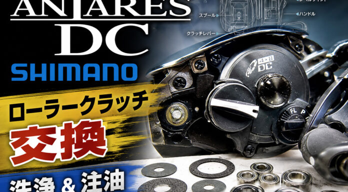 シマノ 16 アンタレス DC (035172) ローラークラッチ交換 洗浄＆注油メンテナンス修理写真