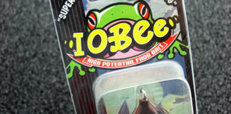 琵琶湖 おかっぱり 人工島 釣果 写真