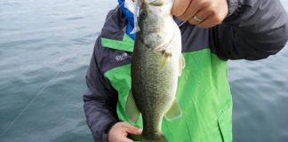 晩秋の琵琶湖釣り 釣果 写真