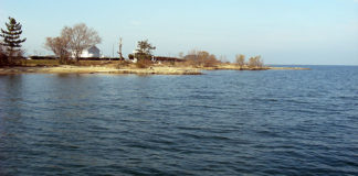 琵琶湖 北湖 釣果調査 写真