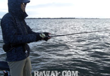 冬の釣り琵琶湖 メタル釣果 写真