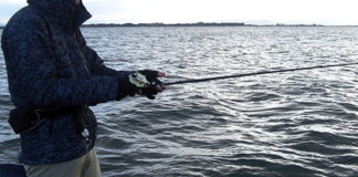 冬の釣り琵琶湖 メタル釣果 写真