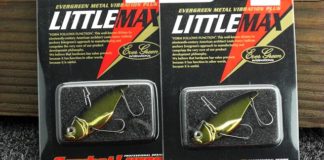 瀬田川メタルジグ 上流 写真