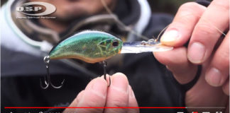 晩秋の三島湖に挑戦する 写真
