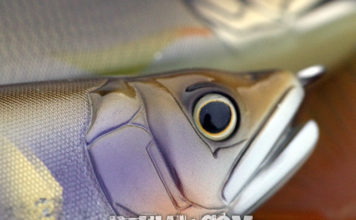 冬の琵琶湖 釣行日記2018 写真