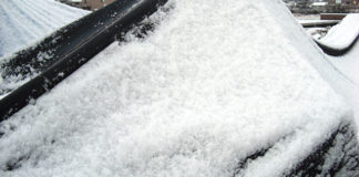 琵琶湖 冬の修行釣行 写真