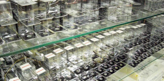 トルザイトリング 写真